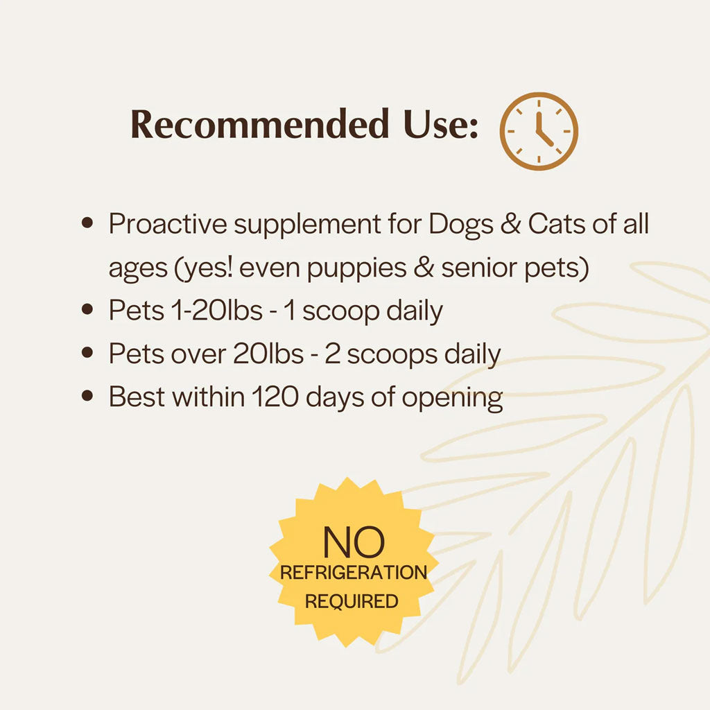 Supplement usage instructions for dogs and cats on a beige background with decorative elements.
