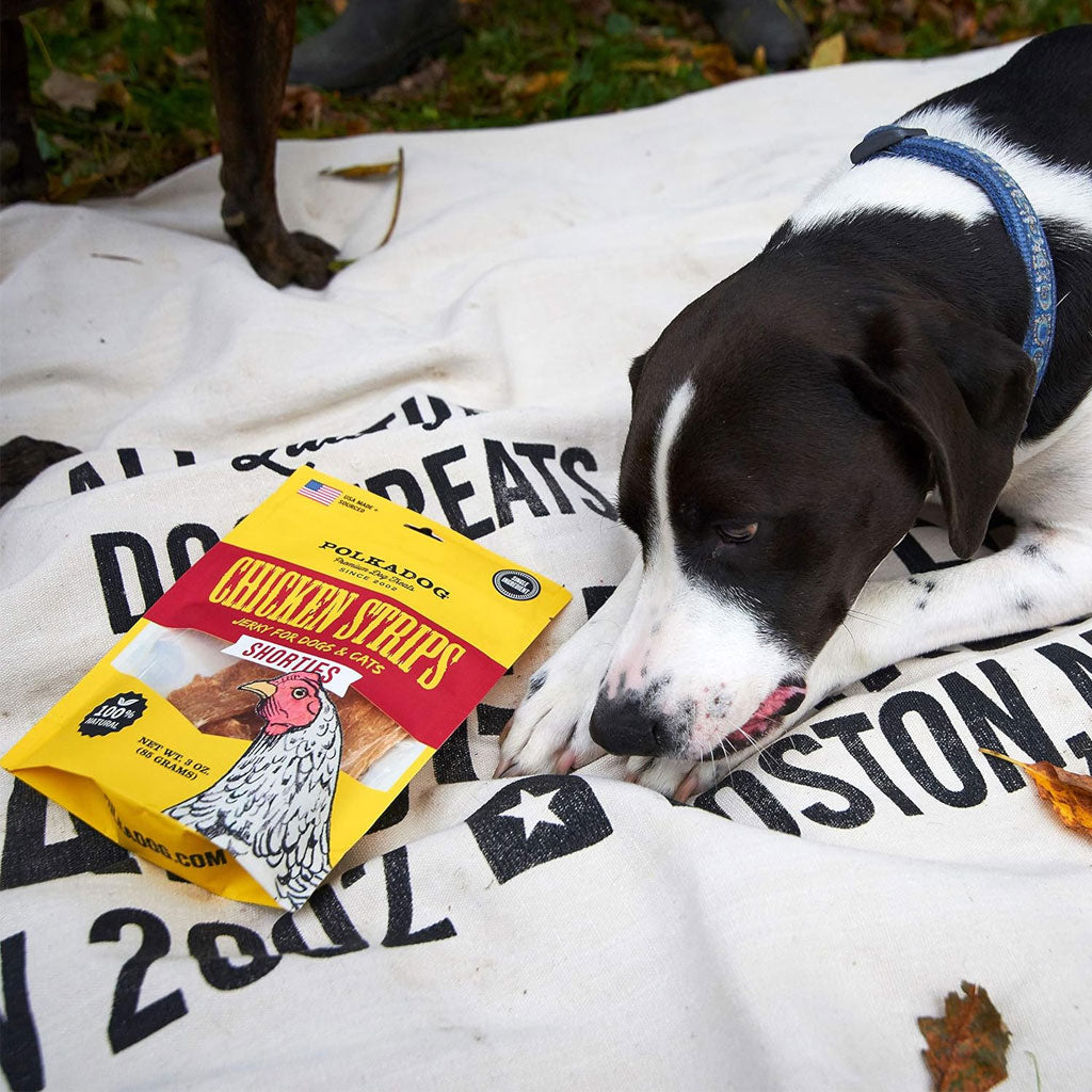 Polkadog Shorties Chicken Strips Jerky For Dogs & Cats