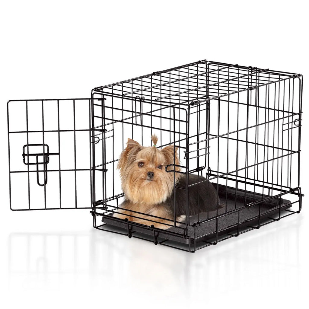 Dog inside a black wire crate on a white background