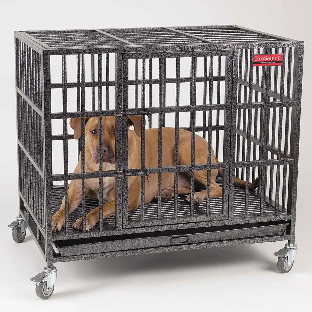 Dog inside a large metal crate with wheels on a white background