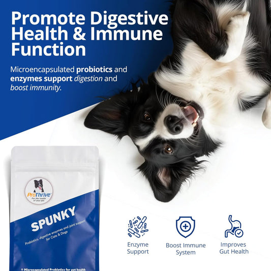 ProThrive Spunky Probiotics (Digestive Enzymes & Joint Support Supplement) for Dogs