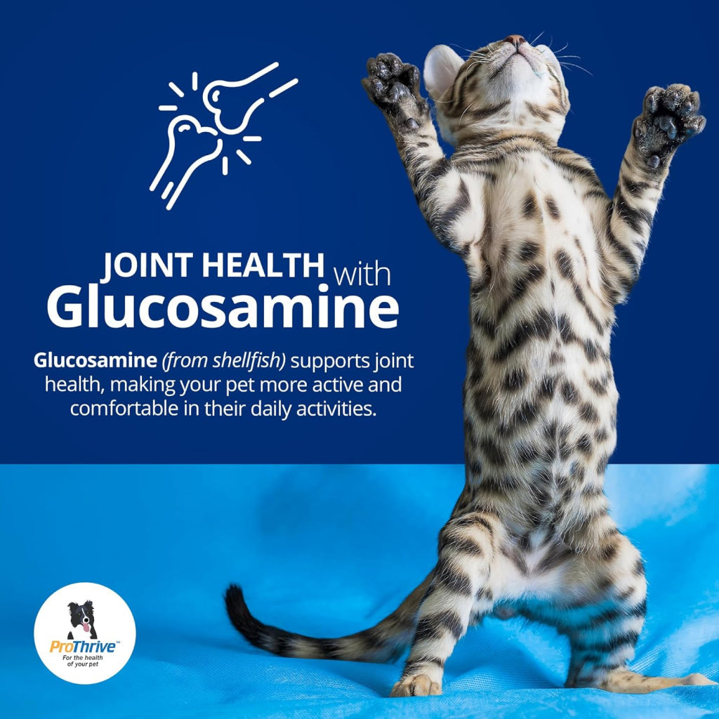 ProThrive Spunky Probiotics (Digestive Enzymes & Joint Support Supplement) for Dogs