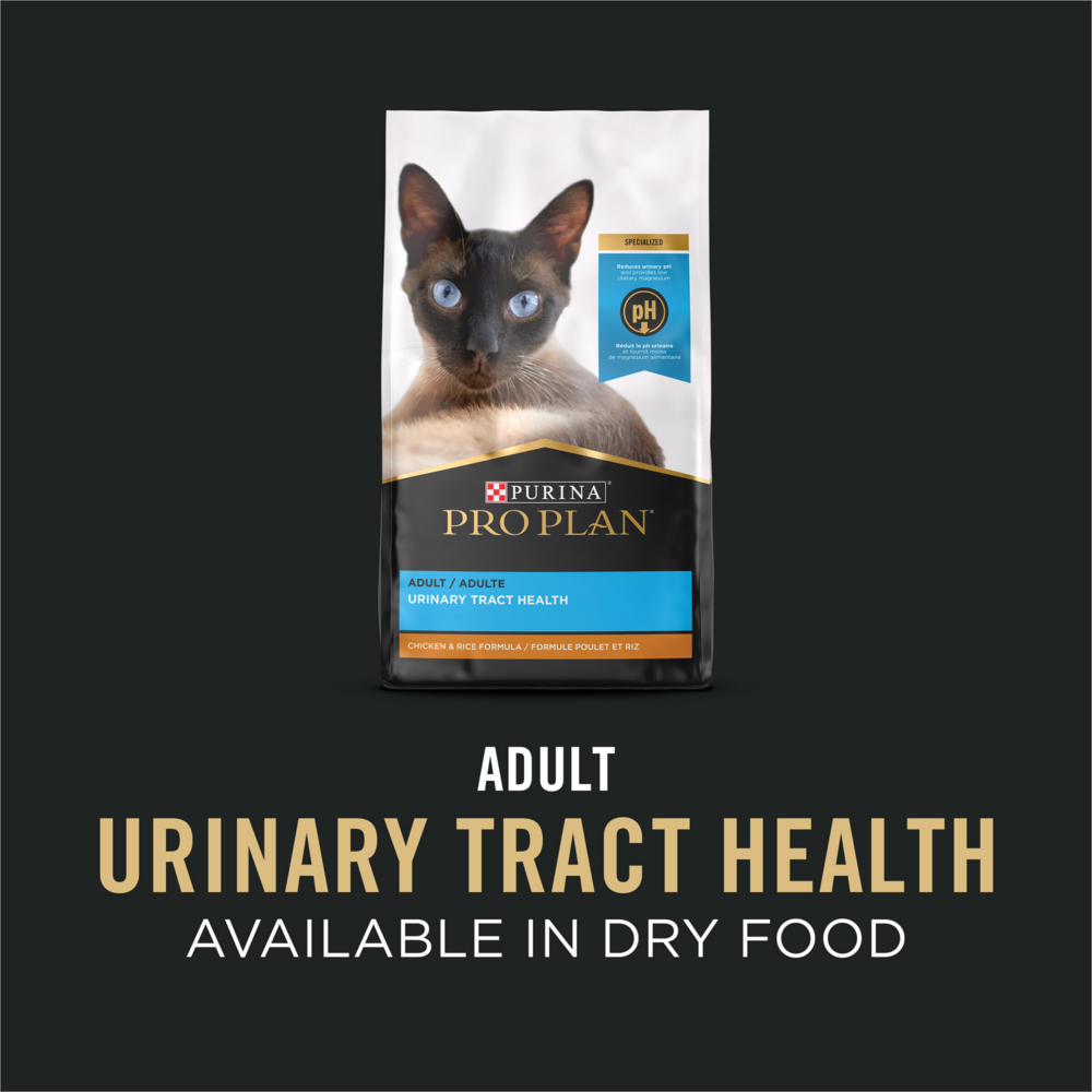 Purina Pro Plan Focus Urinary Tract Health Salmon Recipe Canned Cat Food