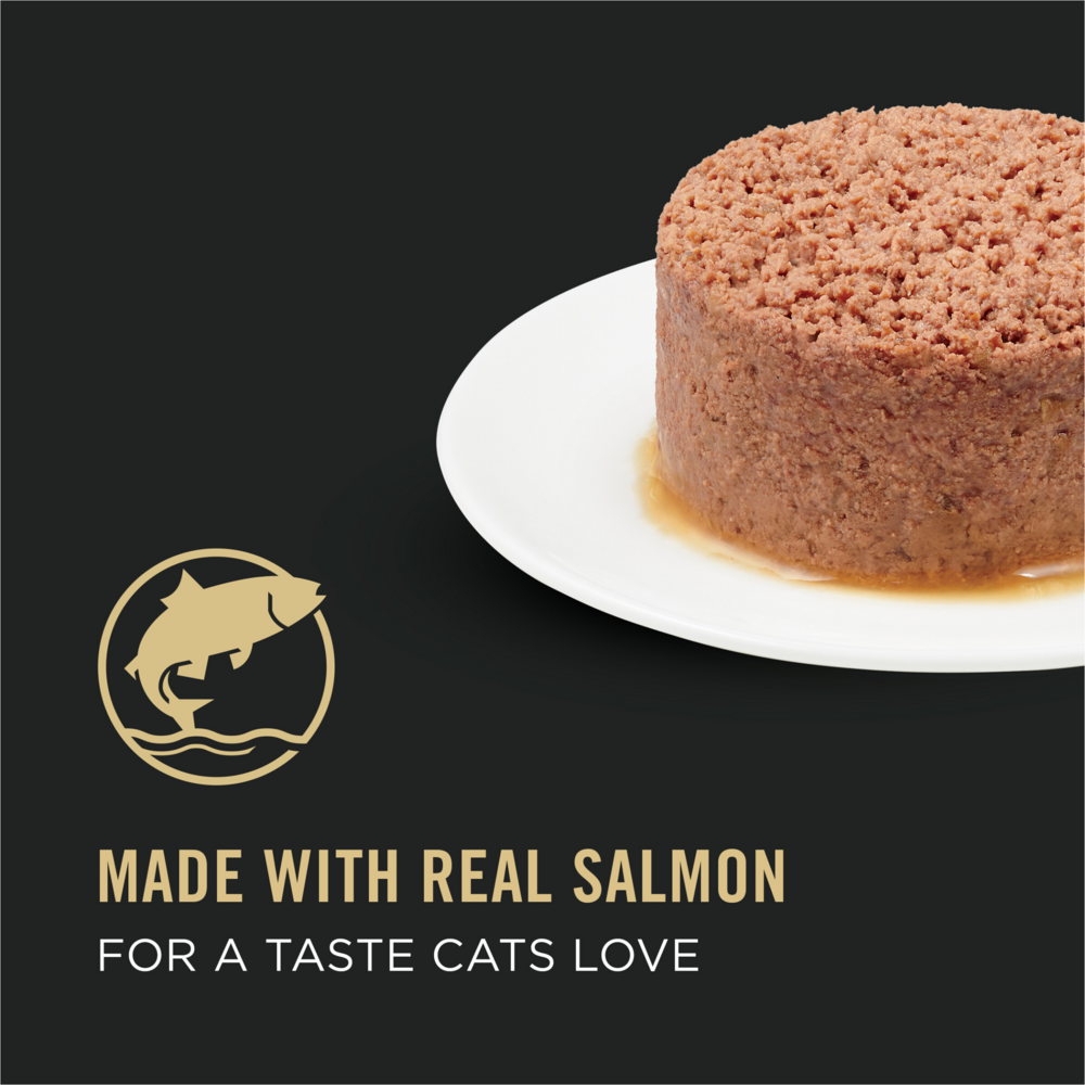Purina Pro Plan Pate Salmon & Wild Rice Entree Wet Cat Food