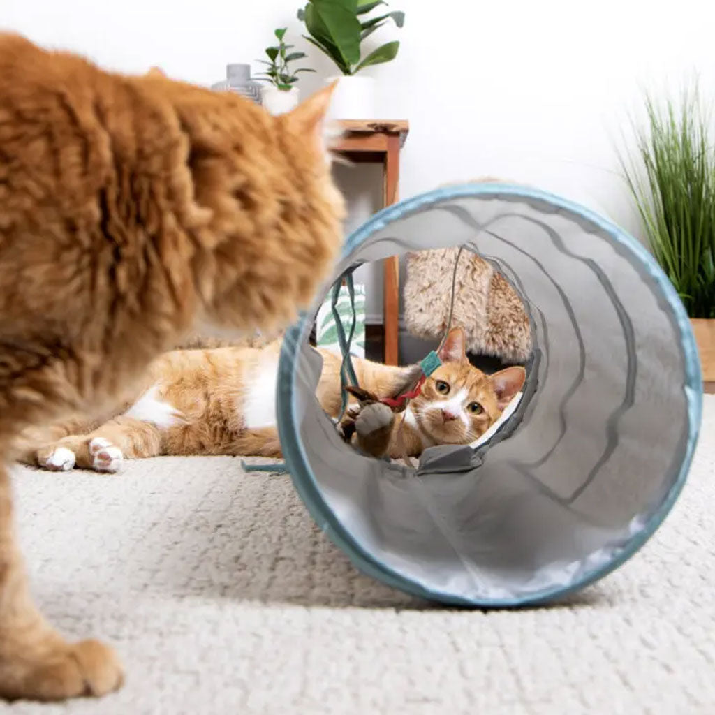 SmartyKat Instincts Twinkle Tube Electronic Light Cat Tunnel Toy