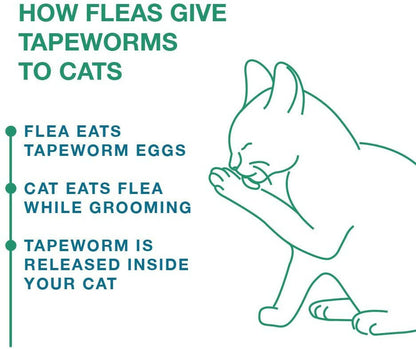 Tapeworm Dewormer for Cats (3 Tablets)