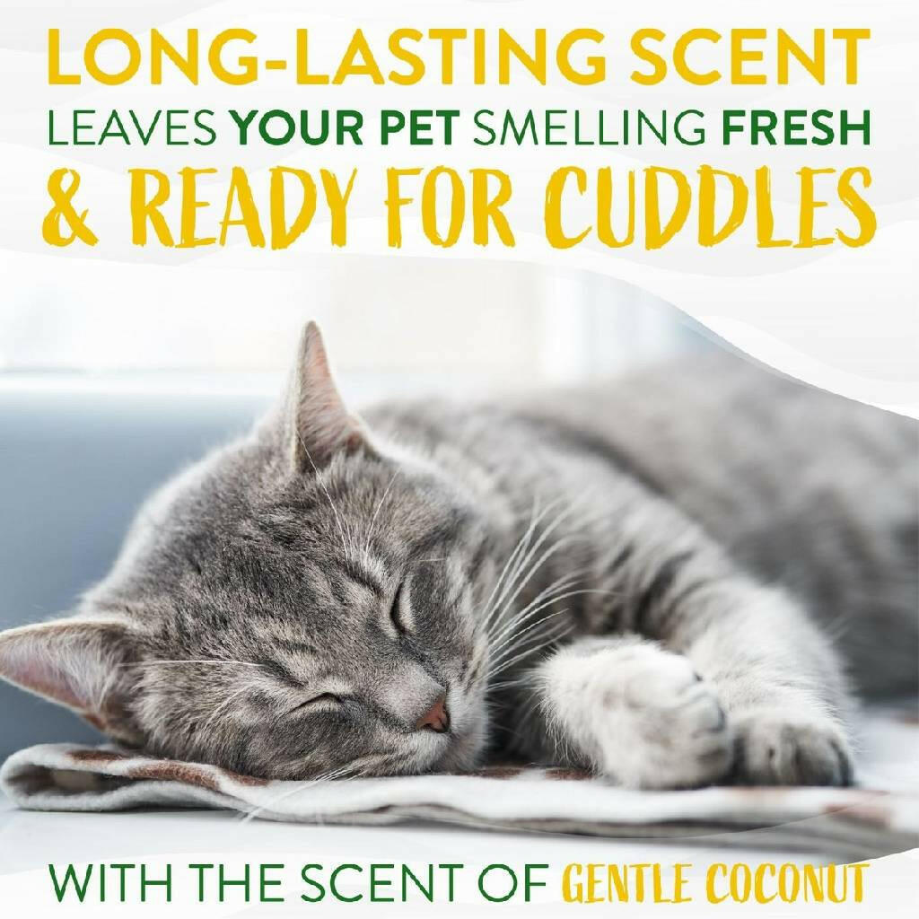 TropiClean Gentle Coconut Hypoallergenic Cat & Kitten Shampoo (12oz)