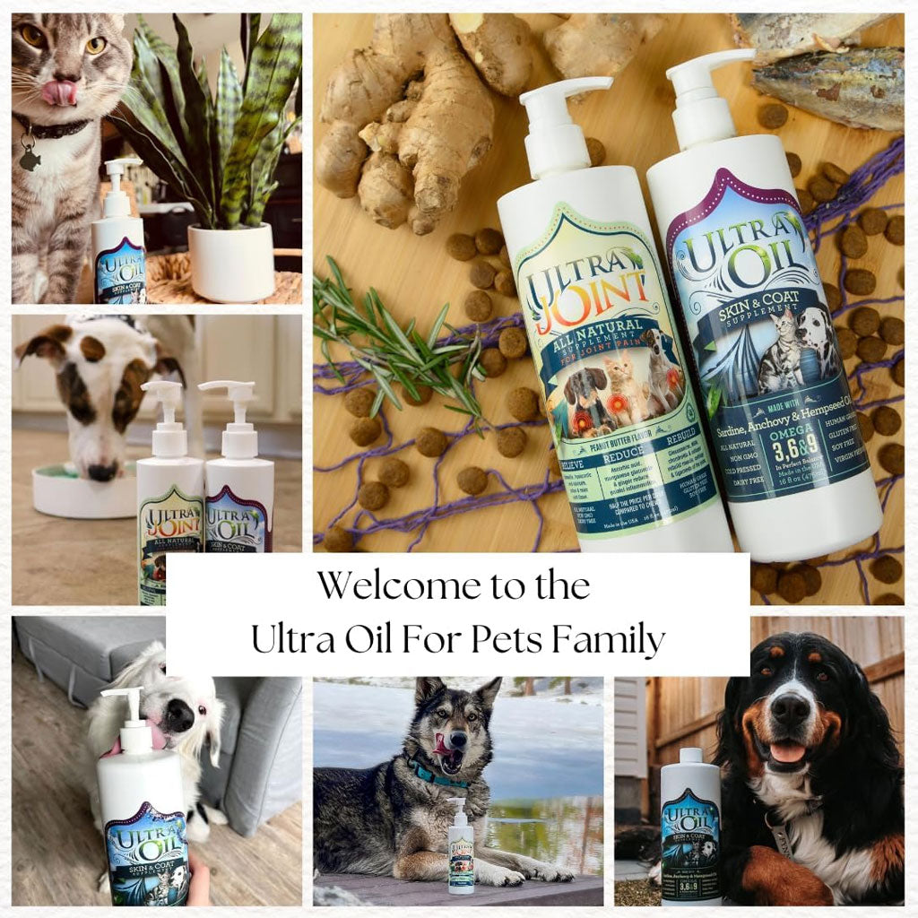 Ultra Joint Joint Supplement for Cats & Dogs