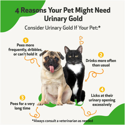 Urinary Gold - for Cat Urinary Tract Health (2 oz)