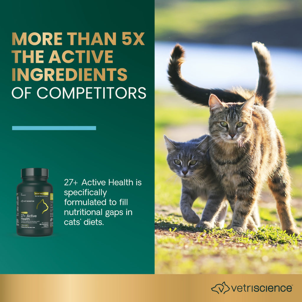 27+ Active Health Tablets for Cats