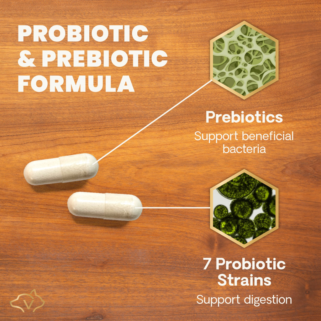 Extra Strength Gut Health Capsules for Dogs