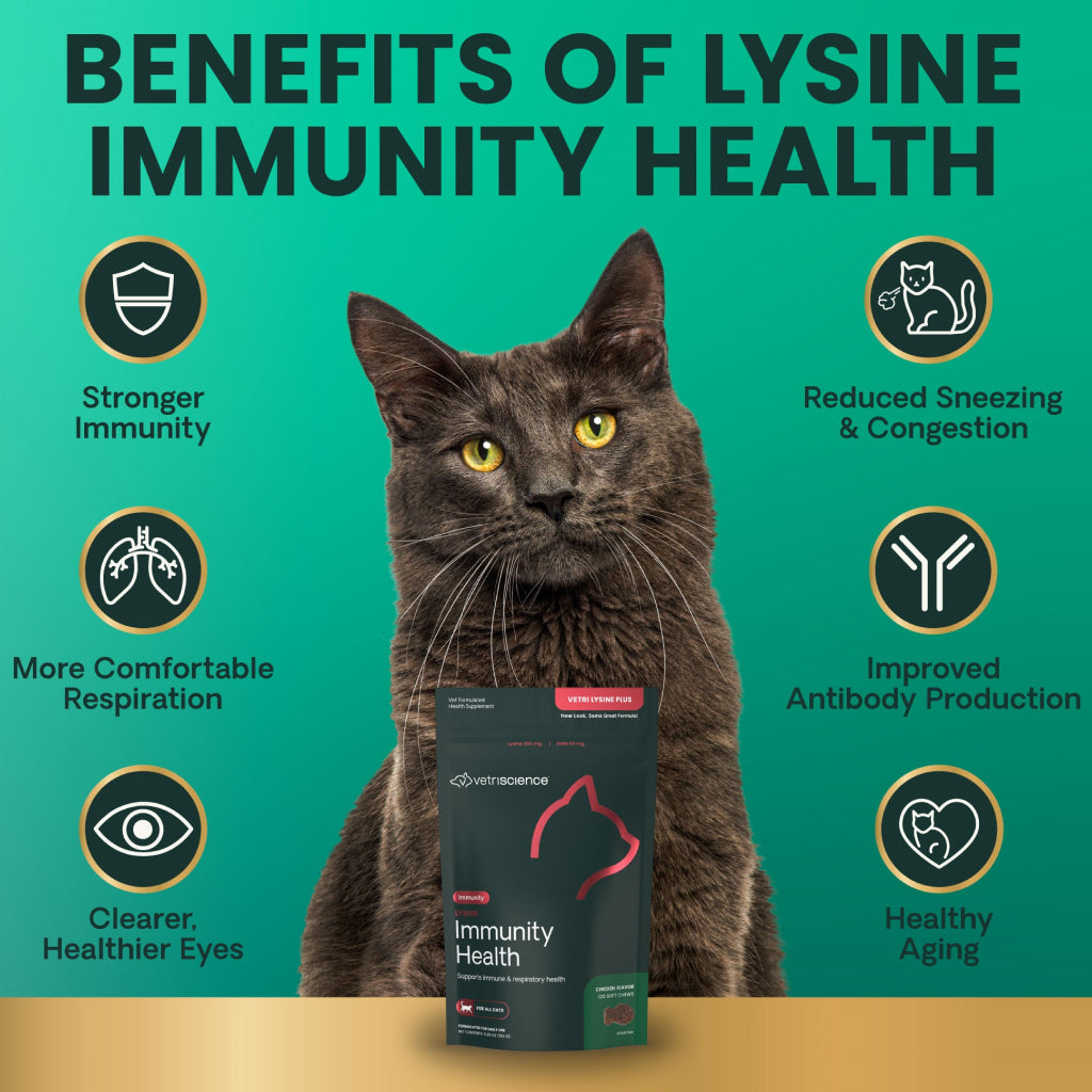 Lysine Immunity Health Chews for Cats