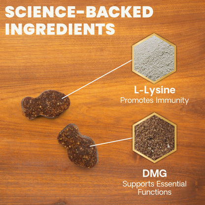 Lysine Immunity Health Chews for Cats
