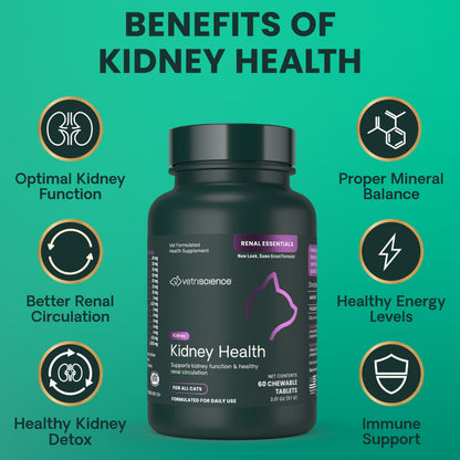 VetriScience Renal Essentials Kidney Supplement for Cats (60 chewable tablets)