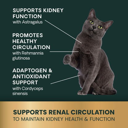 VetriScience Renal Essentials Kidney Supplement for Cats (60 chewable tablets)