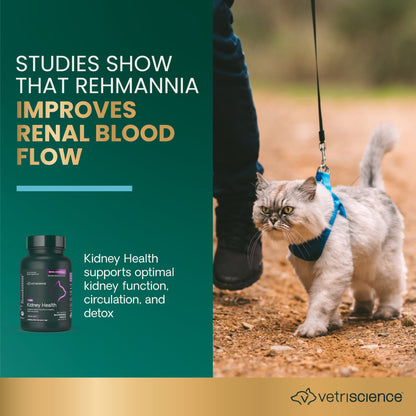 VetriScience Renal Essentials Kidney Supplement for Cats (60 chewable tablets)