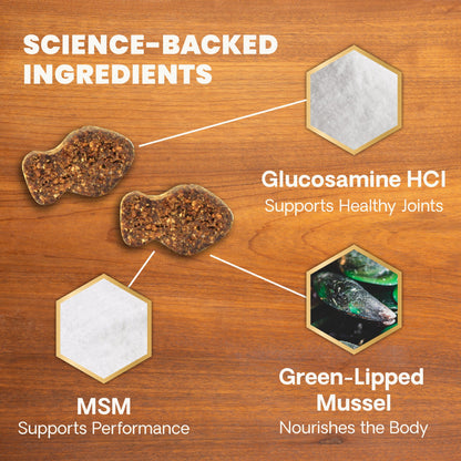 Ultimate Strength Healthy Hip & Joint Chews for Cats