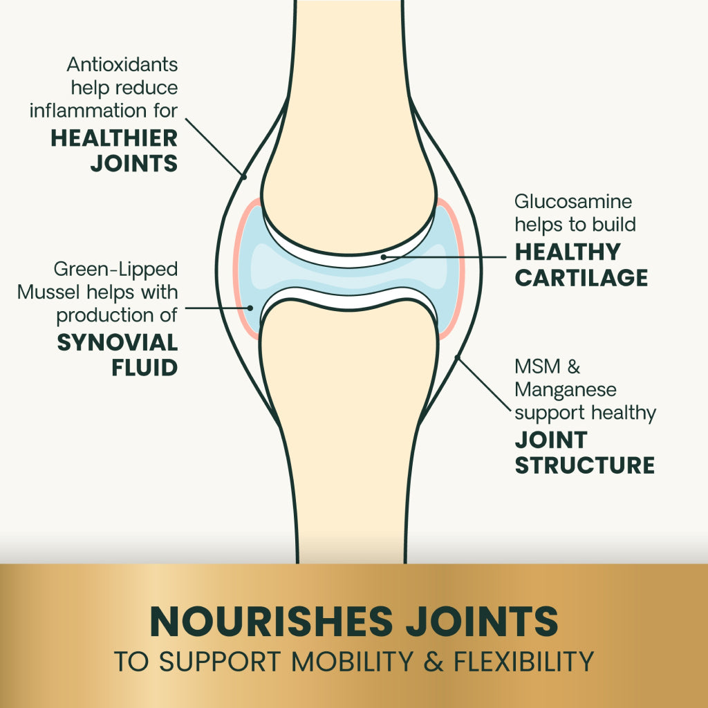 Ultimate Strength Healthy Hip & Joint Chews for Cats