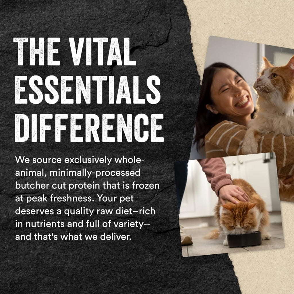 Vital Essentials Freeze-Dried Raw Rabbit Bites Treats For Cat