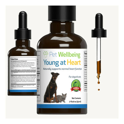 Young at Heart for Healthy Heart Maintenance in Cats (2 oz)