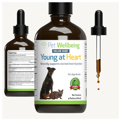 Young at Heart for Healthy Heart Maintenance in Cats (4 oz)